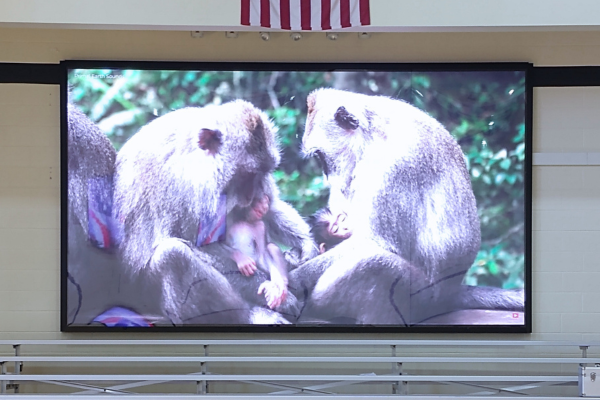 A large display in a school gym.