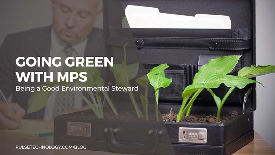 A person sitting behind a brief case that has a plant growing out of it.