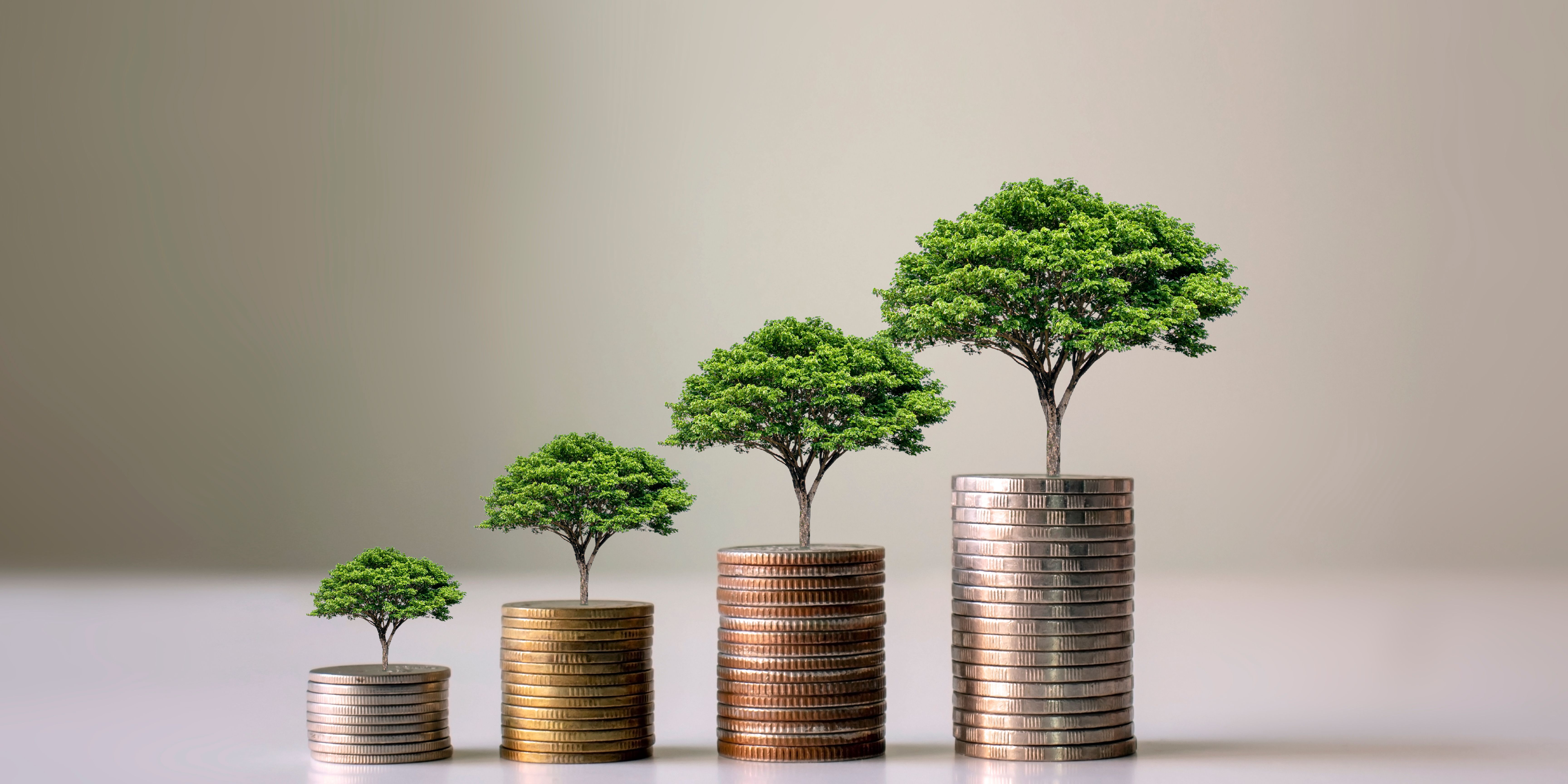 Trees on top of stacked coins