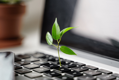 4 leaves on a small branch growing from a laptop keyboard.